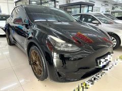 Tesla Model Y Rear-Wheel Drive - ფოტო 3