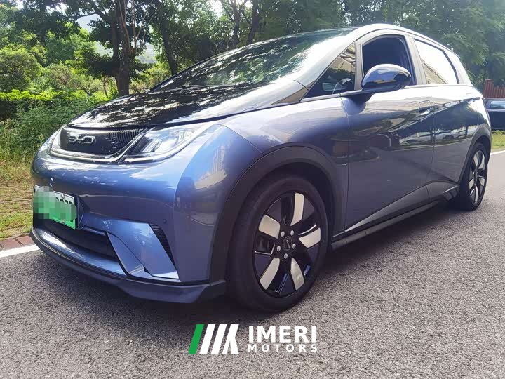 BYD Dolphin 401km Knight Edition - ავტომობილი ჩინეთიდან