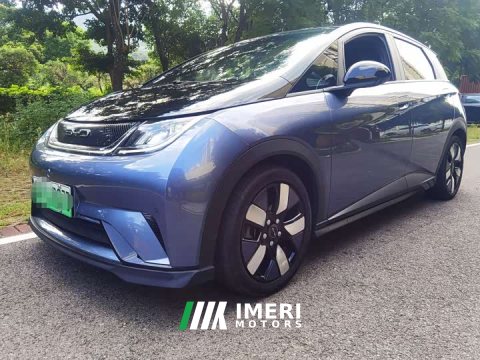 2023 BYD Dolphin 401km Knight Edition - ავტომობილი ჩინეთიდან