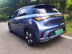 BYD Dolphin 401km Knight Edition - ფოტო 4