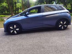 BYD Dolphin 401km Knight Edition - ფოტო 6