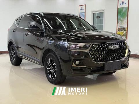 2023 Haval H6 National Trend Edition 1.5T Automatic Urban Version