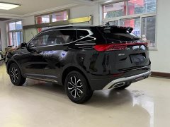 Haval H6 National Trend Edition 1.5T Automatic Urban Version - ფოტო 7