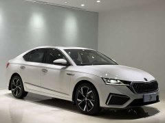 Skoda Octavia PRO TSI280 Premium Edition - ფოტო 3