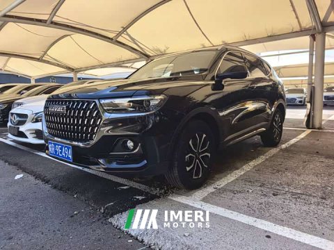 2022 Haval H6 2021 National Trend Edition 1.5T Automatic Urban Version - ავტომობილი ჩინეთიდან