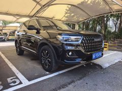 Haval H6 2021 National Trend Edition 1.5T Automatic Urban Version - ფოტო 3
