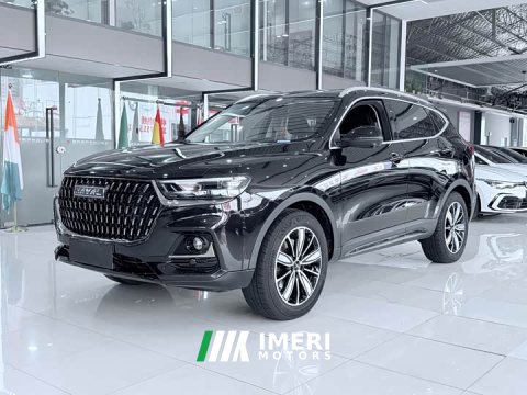 2023 Haval H6 National Trend Edition 1.5T Automatic Champion Version - ავტომობილი ჩინეთიდან