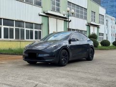 Tesla Model Y Rear-Wheel Drive - ფოტო 1