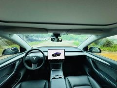 Tesla Model Y Rear-Wheel Drive - ფოტო 12