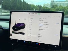 Tesla Model Y Rear-Wheel Drive - ფოტო 13
