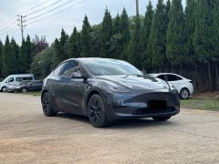 Tesla Model Y Rear-Wheel Drive - ფოტო 3