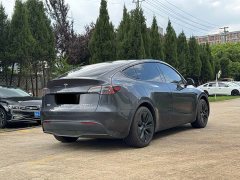 Tesla Model Y Rear-Wheel Drive - ფოტო 4
