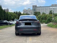 Tesla Model Y Rear-Wheel Drive - ფოტო 5