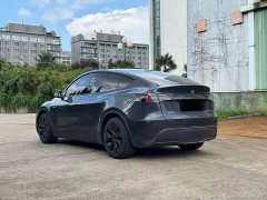 Tesla Model Y Rear-Wheel Drive - ფოტო 6