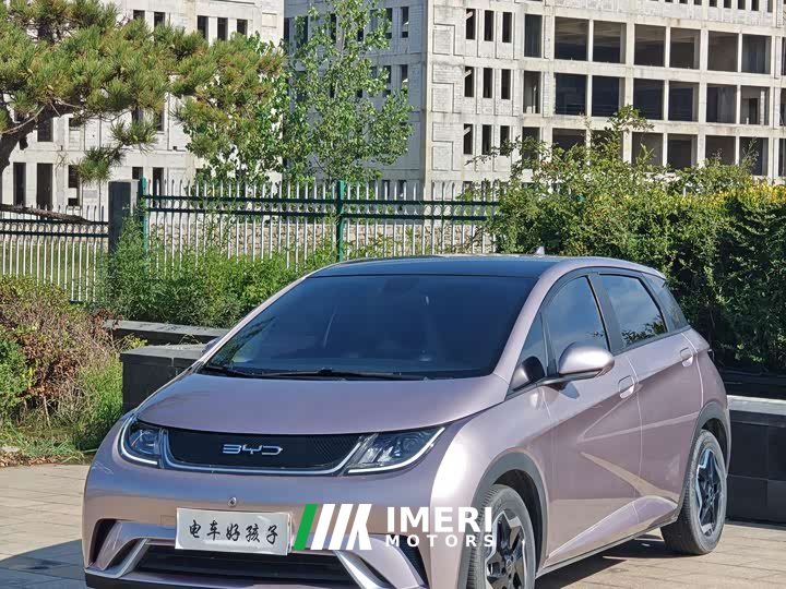 BYD Dolphin 405km Fashion Edition - ავტომობილი ჩინეთიდან
