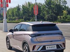 BYD Dolphin 405km Fashion Edition - ფოტო 4