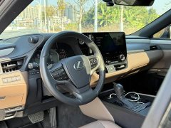 Lexus ES 300h Premium Edition - ფოტო 8