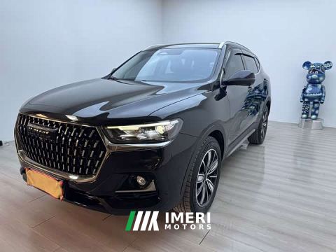 2023 Haval H6 National Trend Edition 1.5T Automatic Champion Version