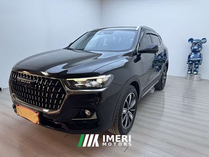Haval H6 National Trend Edition 1.5T Automatic Champion Version