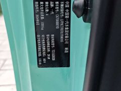 FAW Besturn Xiaoma 170km Yuanqi Ma - ფოტო 11