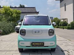 FAW Besturn Xiaoma 170km Yuanqi Ma - ფოტო 3