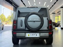 Haval Manlong New Energy Hi4 145 Adventure Edition - ფოტო 4