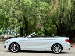 BMW 2 Series (Imported) 2019 225i Convertible Sports Design Package - ფოტო 5