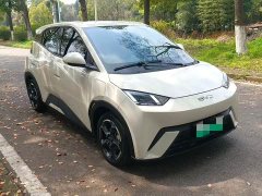 BYD Seagull Glory Edition 305km Freedom Version - ფოტო 1