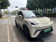 BYD Seagull Glory Edition 305km Freedom Version - ფოტო 10