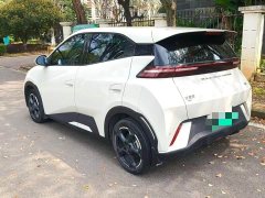 BYD Seagull Glory Edition 305km Freedom Version - ფოტო 2