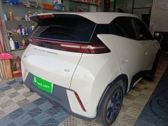 BYD Seagull Glory Edition 305km Freedom Version - ფოტო 5