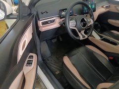BYD Seagull Glory Edition 305km Freedom Version - ფოტო 7
