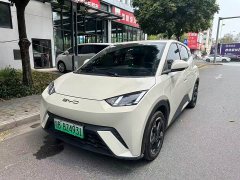 BYD Seagull Glory Edition 305km Freedom Version - ფოტო 9