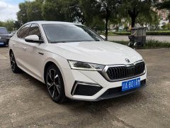 Skoda Octavia PRO TSI280 Luxury Edition - ფოტო 3
