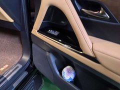 Lexus LX 600 Canada Spec Edition - ფოტო 16