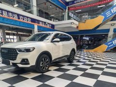 Haval H6 2023 National Trend Edition 1.5T Automatic Urban Version - ფოტო 1