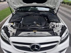 Mercedes-Benz C-Class 2021 C 260 L AMG Line - ფოტო 13