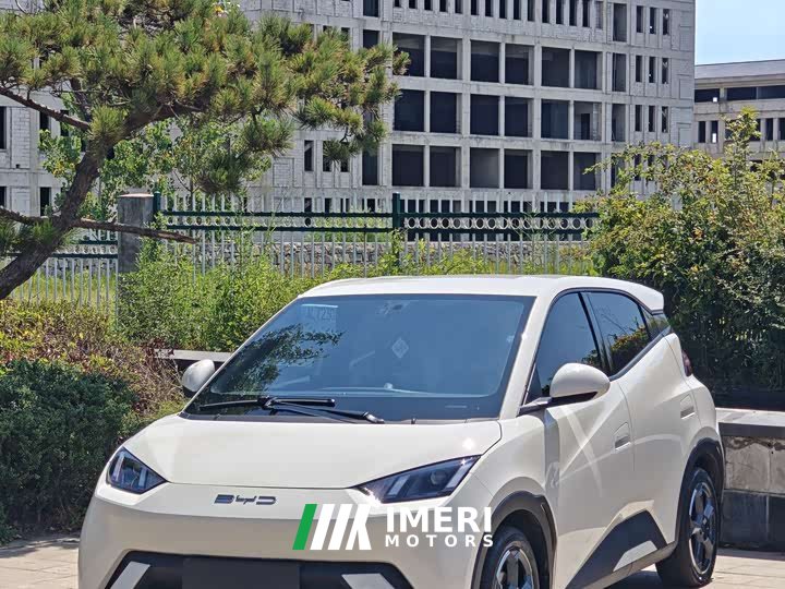 BYD Seagull Freedom Edition - ავტომობილი ჩინეთიდან