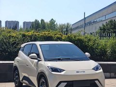 BYD Seagull Freedom Edition - ფოტო 3