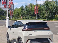 BYD Seagull Freedom Edition - ფოტო 4