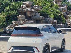 BYD Seagull Freedom Edition - ფოტო 6