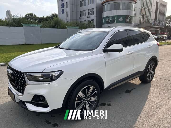 Haval H6 National Trend Edition 1.5T Automatic Champion Version