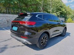 Haval H6 National Trend Edition 1.5T Automatic Urban Version - ფოტო 4