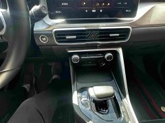 Geely Bingyue 2021 1.4T DCT Platinum Edition - ფოტო 11