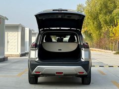 Nissan Qashqai e-POWER Hybrid Dual Motor AWD Premium Edition - ფოტო 9