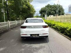 Geely Xingrui 2.0T Diesel Luxury - ფოტო 8