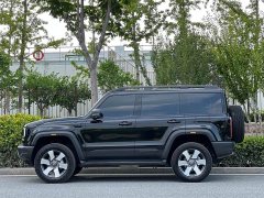 Beijing Jeep BJ40 Extended Range 2025 Standard Edition - ფოტო 10