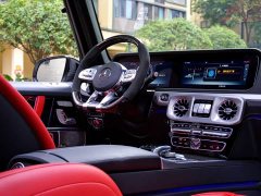 Mercedes-Benz Mercedes-AMG G 63 - ფოტო 14