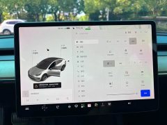 Tesla Model 3 2021 Standard Range RWD Upgrade 3D6 - ფოტო 10