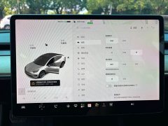 Tesla Model 3 2021 Standard Range RWD Upgrade 3D6 - ფოტო 11